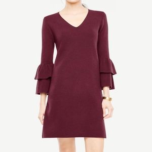 Ruffle Sleeve Sweater Dress
